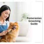 Hướng dẫn cách cắt tỉa lông chó Phốc Sóc tại nhà – an toàn, đúng chuẩn, dễ thực hiện