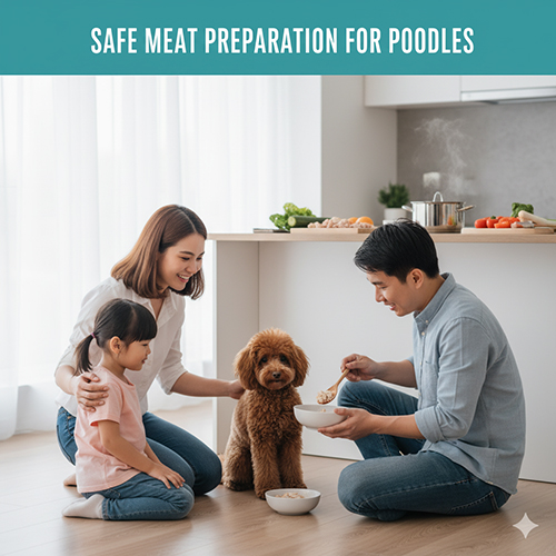 Cách cho Poodle ăn thịt an toàn – chế biến, tần suất và lượng ăn phù hợp
