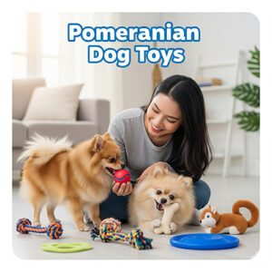 Đồ chơi cho chó Phốc sóc giúp bé vui vẻ và phát triển thông minh