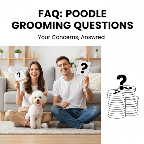 Cặp đôi cùng chó Poodle cầm bảng dấu hỏi – minh họa FAQ giải đáp thắc mắc về cạo lông Poodle