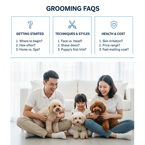 FAQ cắt tỉa lông chó Poodle – Hỏi đáp thường gặp về thời gian, kỹ thuật và chi phí spa
