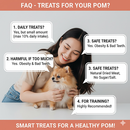 FAQ về việc cho chó Phốc Sóc ăn vặt – lượng snack hàng ngày, tác hại khi ăn nhiều, loại an toàn và dùng để huấn luyện