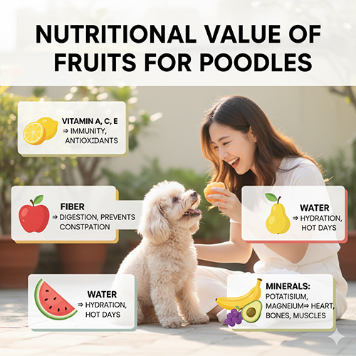 Giá trị dinh dưỡng của trái cây đối với chó Poodle: vitamin, chất xơ, nước, khoáng chất