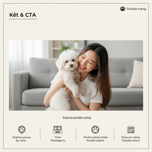 Kết luận và CTA chó Poodle trắng – giống chó dễ nuôi, phổ biến và luôn ăn ảnh