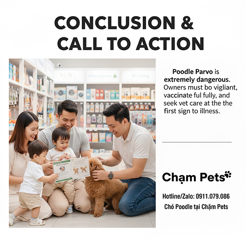 Kết luận và CTA về bệnh Parvo ở chó Poodle – cảnh báo nguy hiểm và cam kết từ Chạm Pets