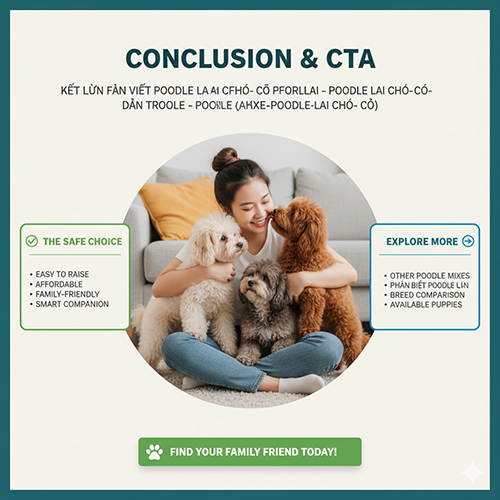 Cô gái ngồi ôm ba chú Poodle lai chó cỏ – giống chó thân thiện, dễ nuôi, phù hợp gia đình Việt