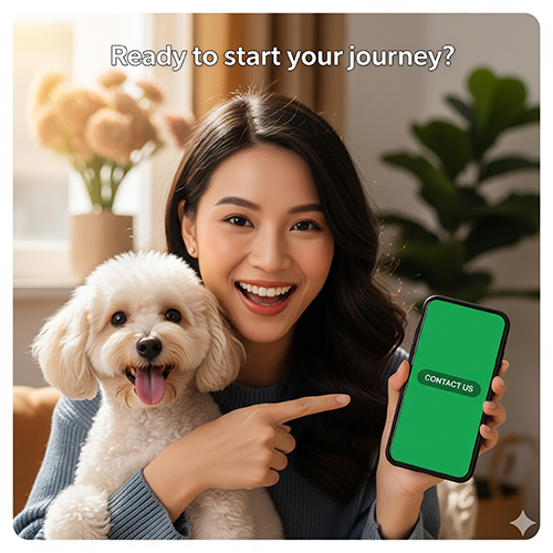 Kết luận giá chó Poodle 2025 – gợi ý bước tiếp theo và liên hệ tư vấn mua bán
