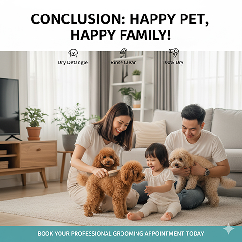 Kết luận tắm cho Poodle – 3 mốc vàng: gỡ rối khô, xả sạch, sấy 100% khô; gợi ý đặt lịch spa chuyên nghiệp
