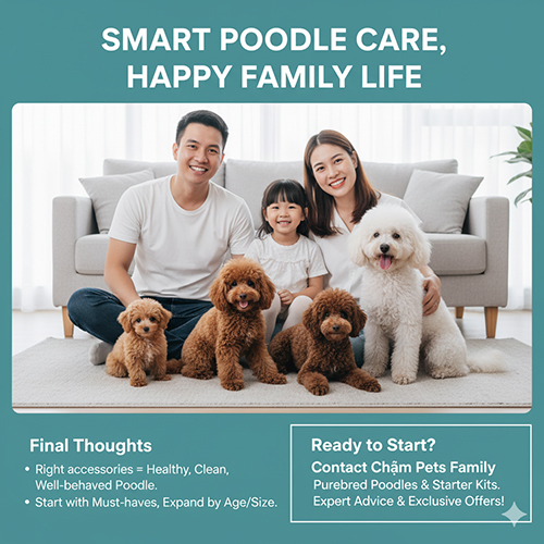 Gia đình cùng bốn chú Poodle với lời kết và lời kêu gọi hành động chọn phụ kiện phù hợp