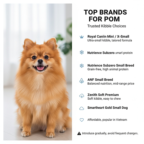 Chú chó Phốc Sóc đang mỉm cười. Bên cạnh là danh sách "TOP BRANDS FOR POM" gồm các thương hiệu thức ăn hạt nổi tiếng như Royal Canin Mini/X-Small, Nutrience Subzero Small Breed, ANF Small Breed, Zenith Soft Premium, Smartheart Gold Small Dog.