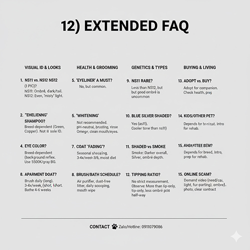 FAQ mở rộng về mèo Silver Shaded ns11 gồm nhận diện, chăm sóc và mua bán