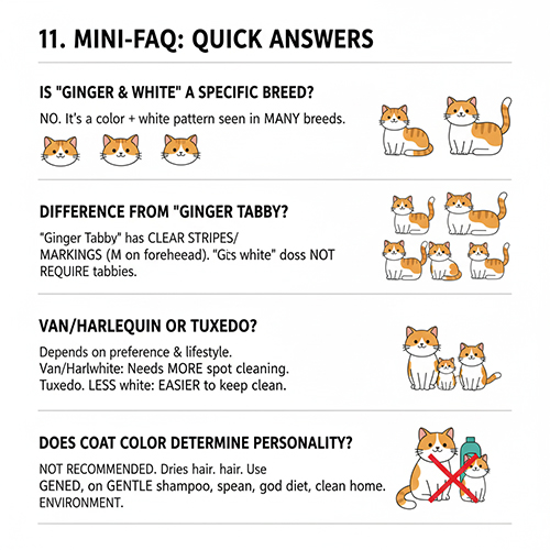 Mini FAQ giải đáp nhanh về mèo vàng trắng bicolor và cách phân biệt