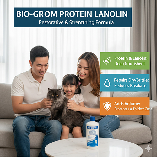 Sữa tắm Bio-Groom Protein Lanolin cho mèo Anh lông dài giúp phục hồi lông khô xơ và giảm gãy rụng