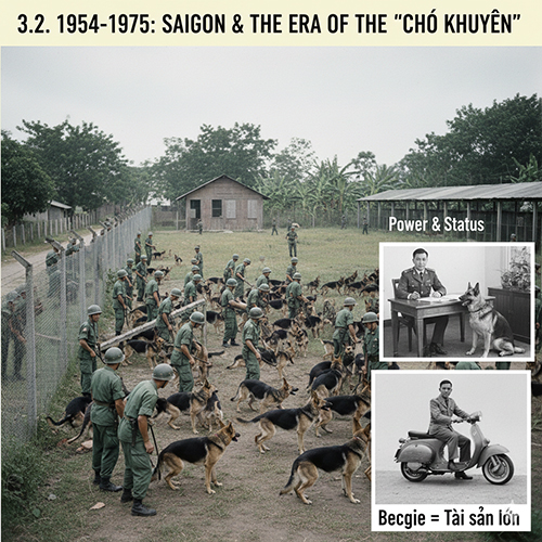 Hình tư liệu quân đội miền Nam và lực lượng Mỹ huấn luyện chó Becgie Đức tại Ngã Năm Chuồng Chó giai đoạn 1954–1975