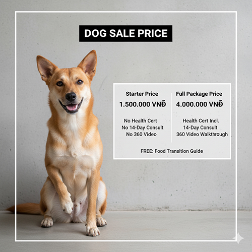 Hình ảnh chó cỏ ngồi vui vẻ bên bảng giá minh họa hai gói: “Starter Price” và “Full Package Price”, nền sáng tối giản, thể hiện tính minh bạch trong giao dịch.
