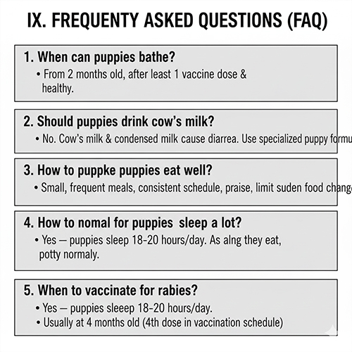 cau hoi thuong gap ve cham soc va nuoi cho con