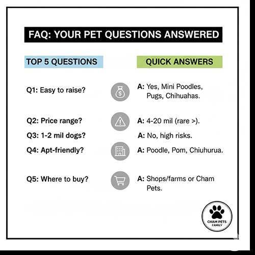 Bảng tổng hợp 5 câu hỏi thường gặp về chó cảnh và câu trả lời nhanh gọn từ Chạm Pets Family