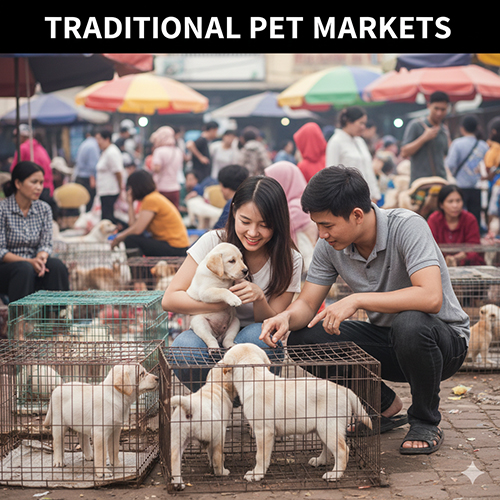 Cặp đôi trẻ lựa chọn chó Labrador con trong khu chợ chó truyền thống đông đúc, xung quanh là nhiều lồng cún khác