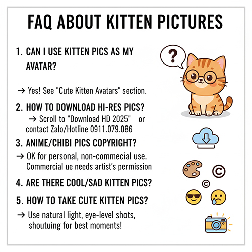 Ảnh FAQ về hình ảnh mèo con với các câu hỏi thường gặp và minh họa dễ thương