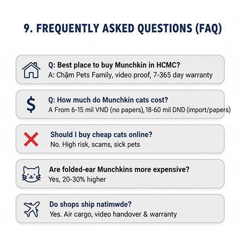 Infographic FAQ về mèo Munchkin: nơi mua uy tín ở TP.HCM, giá bán, cảnh báo mèo giá rẻ, tai cụp đắt hơn và ship toàn quốc bằng đường hàng không