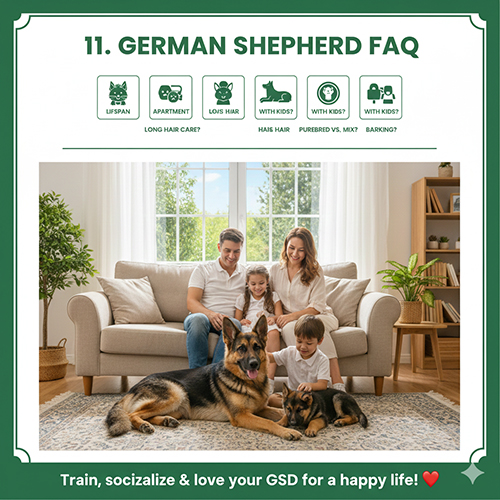 Gia đình Việt Nam ngồi trên sofa cùng hai chú chó Becgie Đức trong phòng khách sáng sủa