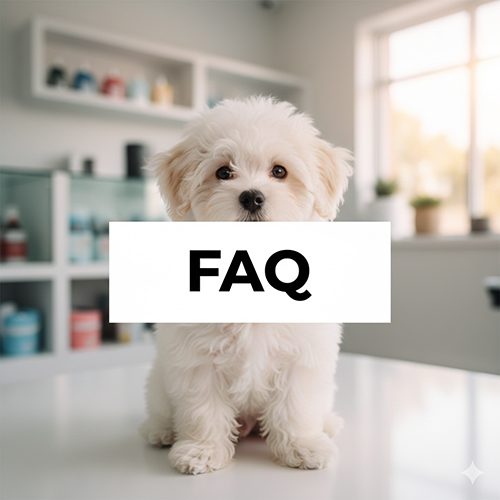 FAQ giá chó cảnh và các câu hỏi thường gặp khi mua nuôi chó cảnh