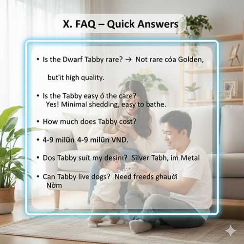 Gia đình ngồi chơi với mèo Munchkin Tabby trong phòng khách, khung chữ hiển thị phần hỏi đáp nhanh về giống mèo này