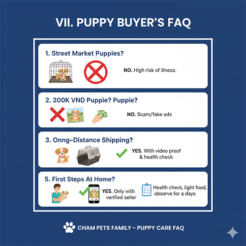 FAQ mua chó con với các câu hỏi thường gặp cho người mới nuôi