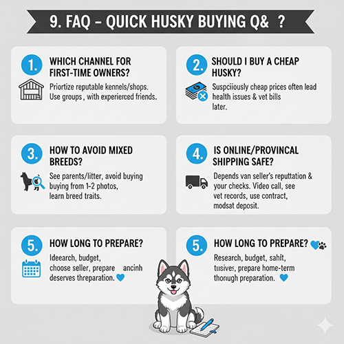 cau hoi thuong gap khi mua cho Husky va cac luu y quan trong