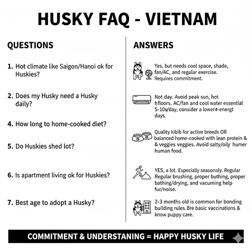 Hình ảnh FAQ hỏi đáp nhanh về cách nuôi và chăm sóc chó Husky tại Việt Nam.