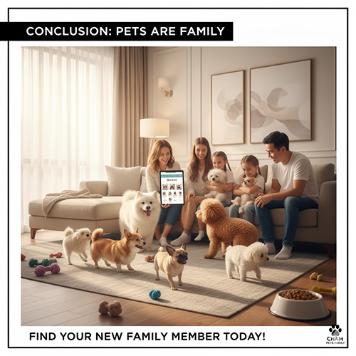 Gia đình hạnh phúc quây quần bên nhiều giống chó cảnh như Poodle, Corgi, Samoyed và Chihuahua trong phòng khách ấm cúng