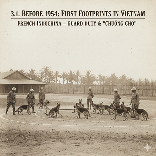 Hình tư liệu lính Pháp huấn luyện chó Becgie Đức trong doanh trại Đông Dương đầu thế kỷ 20