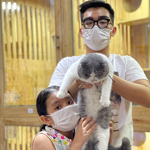 Gia đình khách nhận mèo Anh lông ngắn tại Chạm Pets Family (ảnh thực tế)