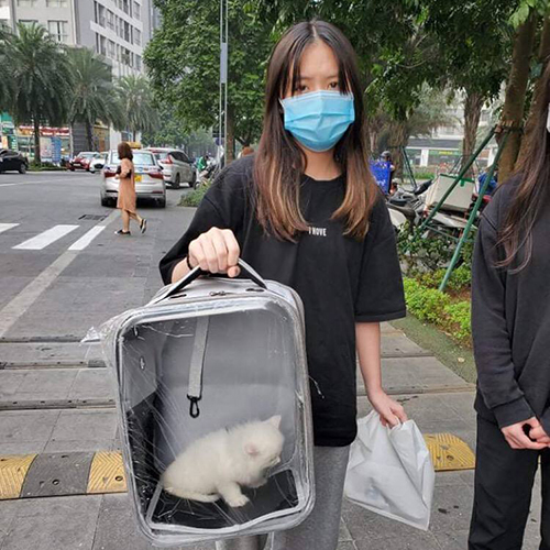 Khách hàng nhận bé mèo Munchkin trong balo vận chuyển, ảnh bàn giao thực tế tại Chạm Pets Family