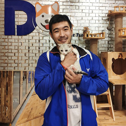 Khách nam nhận bé mèo Munchkin tại Chạm Pets Family, ảnh bàn giao thực tế