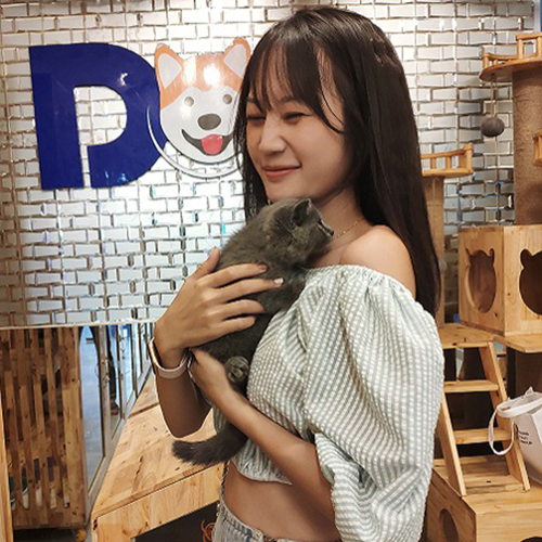 Khách nữ nhận bé mèo Munchkin tại Chạm Pets Family, ảnh bàn giao thực tế