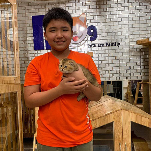 Khách hàng nhận bé mèo Munchkin tại Chạm Pets Family, ảnh bàn giao thực tế