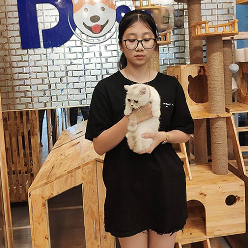 Khách nhận bé mèo Munchkin màu trắng tại Chạm Pets Family, ảnh bàn giao thực tế