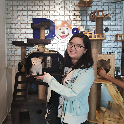 Khách hàng nhận bé mèo tai cụp Scottish Fold tại điểm hẹn, ảnh bàn giao thực tế