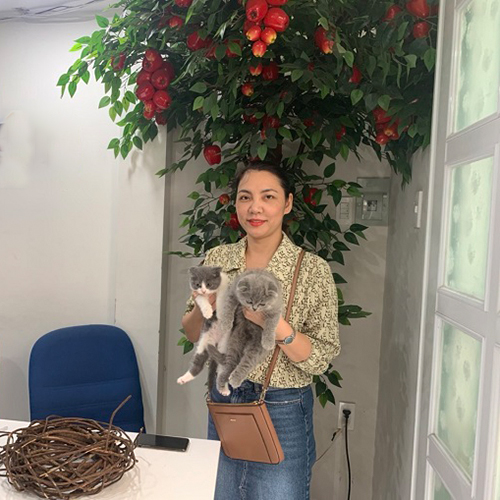 Khách hàng nhận 2 bé mèo tai cụp Scottish Fold, ảnh bàn giao thực tế tại Chạm Pets