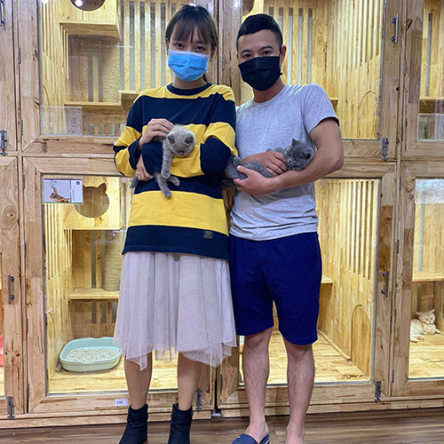 Khách hàng nhận 2 bé mèo tai cụp Scottish Fold, ảnh bàn giao thực tế tại Chạm Pets