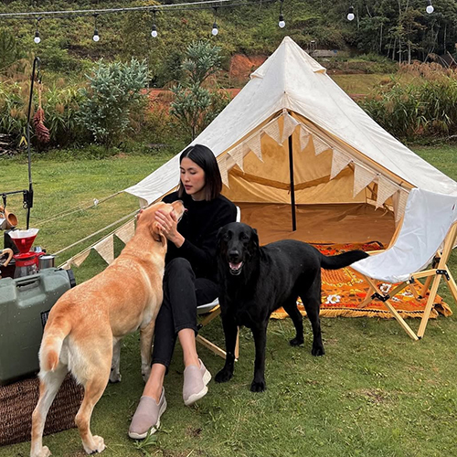 Khoảnh khắc cắm trại ngoài trời cùng hai chú chó Labrador