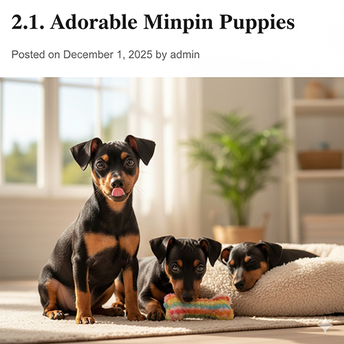 Hình ảnh chó Phốc hươu con Minpin 2–3 tháng tuổi, mắt tròn, tai chưa dựng hoàn toàn