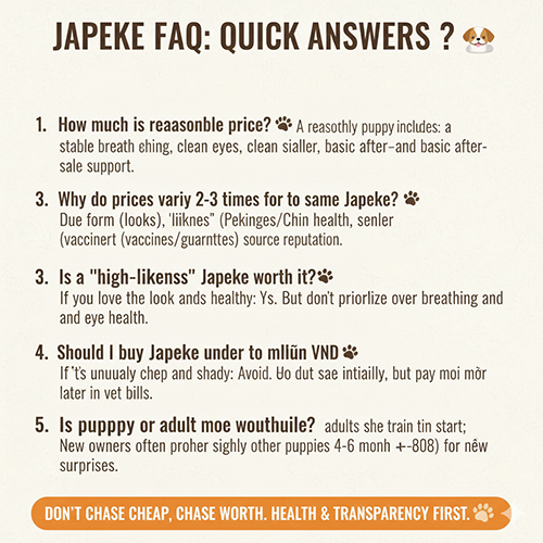 FAQ hỏi nhanh đáp gọn về giá chó Bắc Kinh lai Nhật