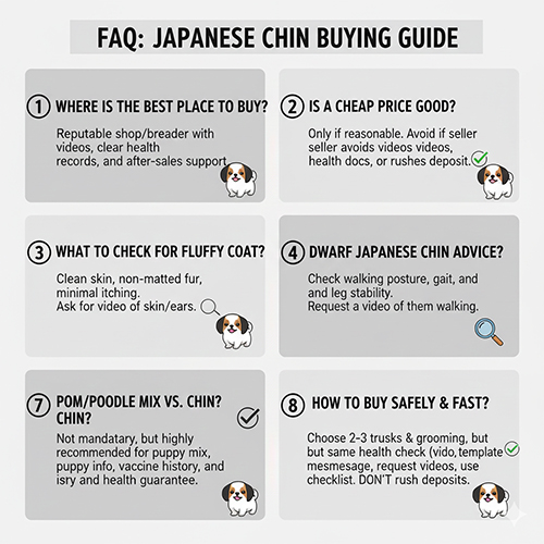 FAQ mua chó Nhật Japanese Chin với các câu hỏi thường gặp về nơi mua, giá, lông xù, lùn và chó lai