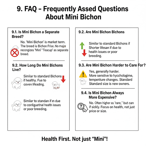 Các câu hỏi thường gặp về chó Bichon mini: có phải giống riêng, tuổi thọ, độ khó chăm và giá bán