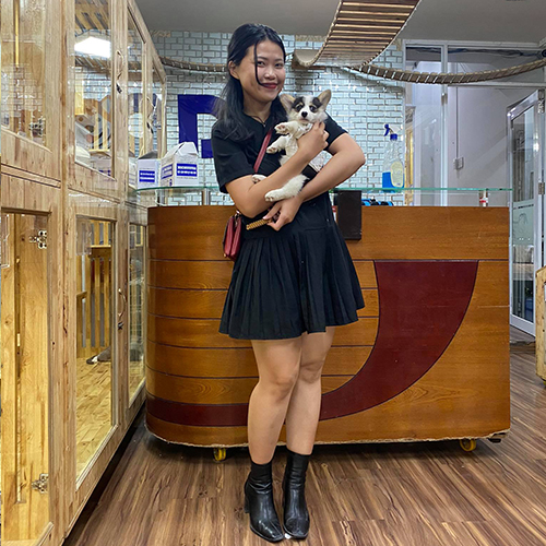 Khách hàng ôm bé Corgi khi nhận bàn giao tại Chạm Pets Family, chụp ảnh kỷ niệm