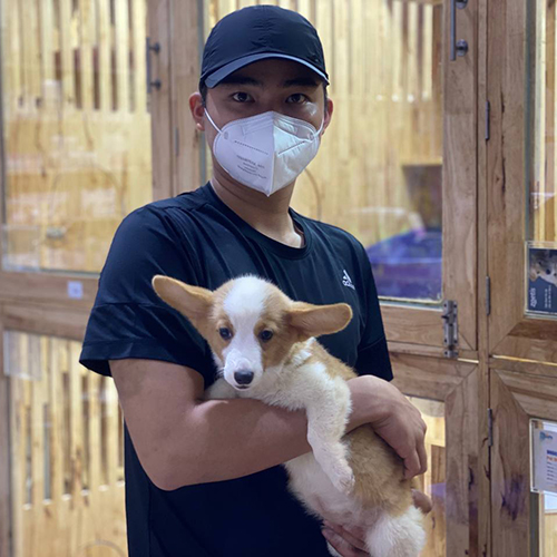 Khách hàng bế bé Corgi khi nhận bàn giao tại Chạm Pets Family, chụp ảnh xác nhận nhận bé