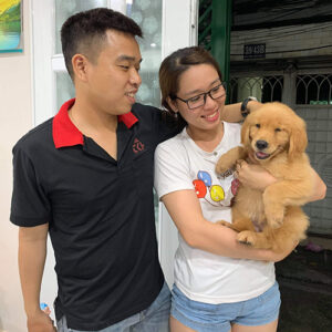 Ảnh thật giao bé chó Golden con màu vàng đậm cho khách, khách ôm bé cười tươi trong ngày nhận bé
