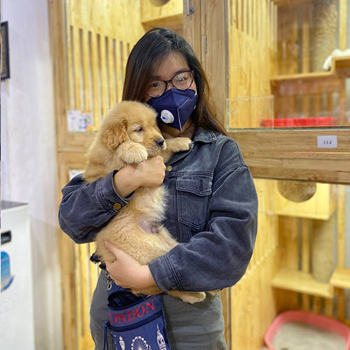 Ảnh thật giao bé chó Golden con vàng kem cho khách, khách ôm bé trước khu chuồng và bé nằm ngoan trên tay